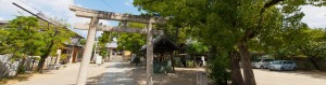 index04_bg